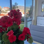 Apartment Prealsa