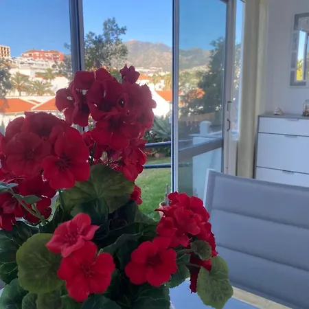 Apartmán Prealsa